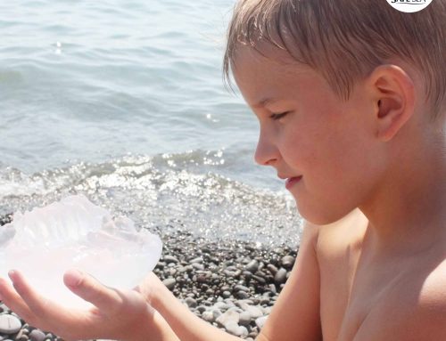 Picaduras de medusa en niños: ¿qué debes hacer?